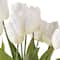 12 Pack: White Tulip Bush by Ashland&#xAE;